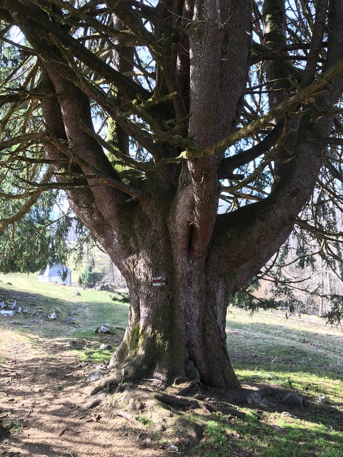 Einladung Vortrag "Ökumene heute"