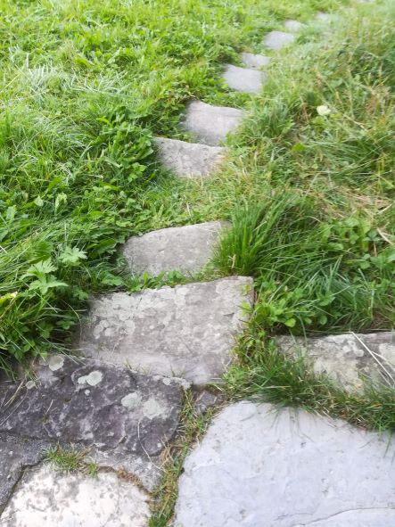 Veranstaltungen abgesagt oder verlegt