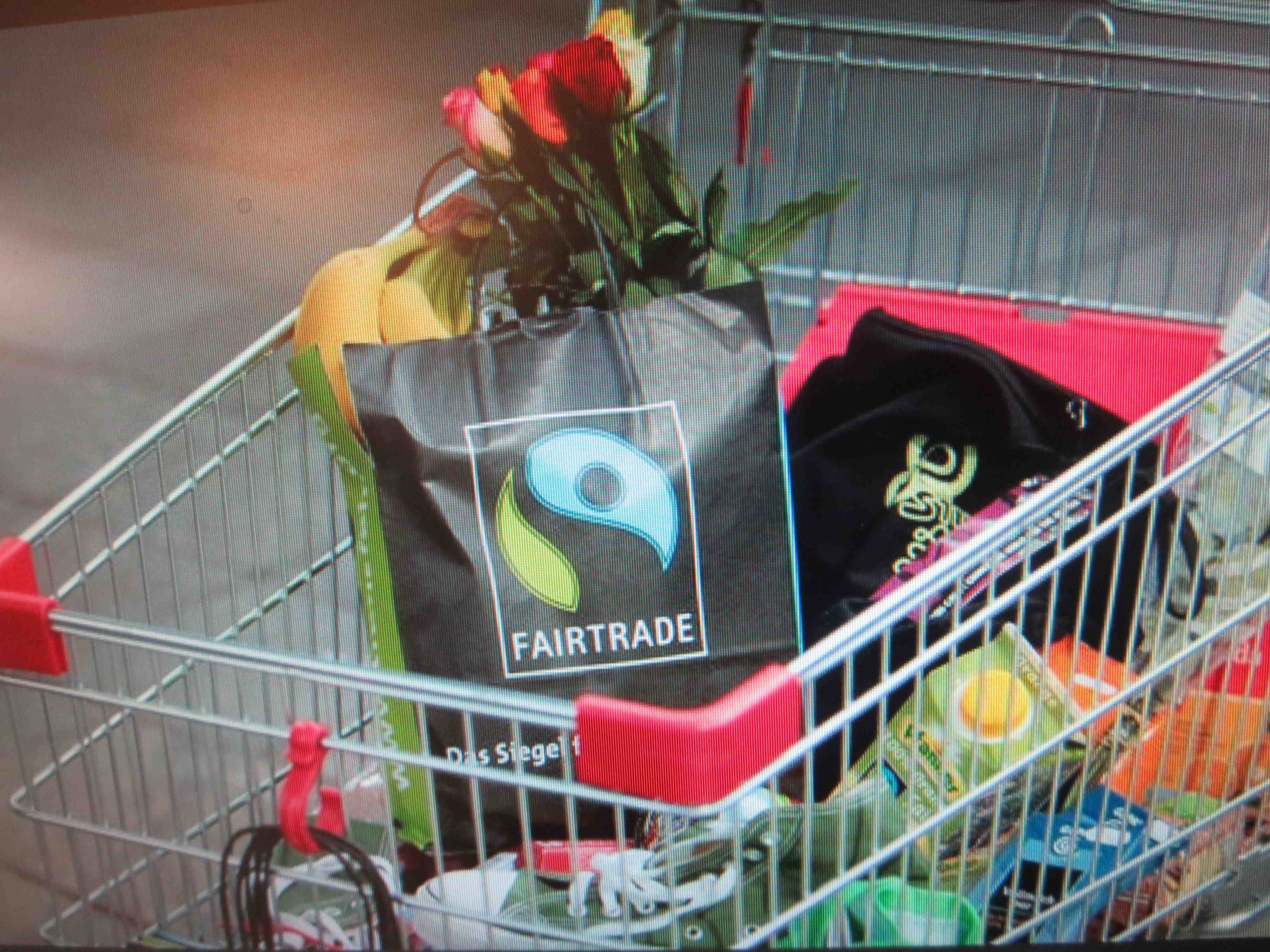 Vortrag "fair-ändern"