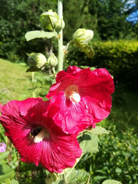Seminar Die Zeit mit Leben füllen